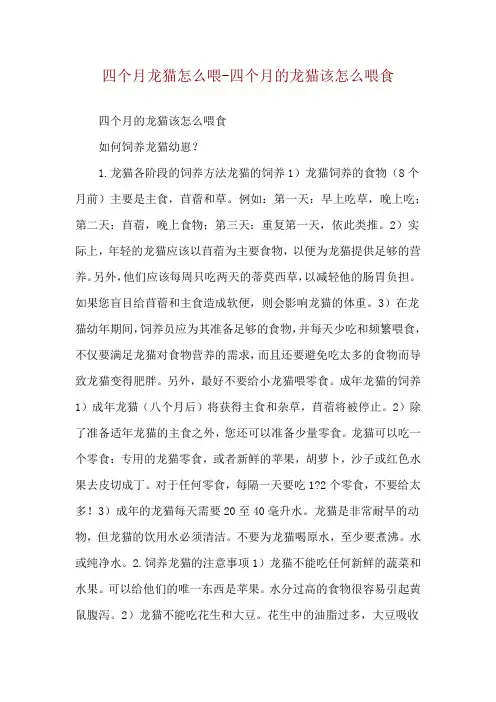 四个月龙猫怎么喂-四个月的龙猫该怎么喂食