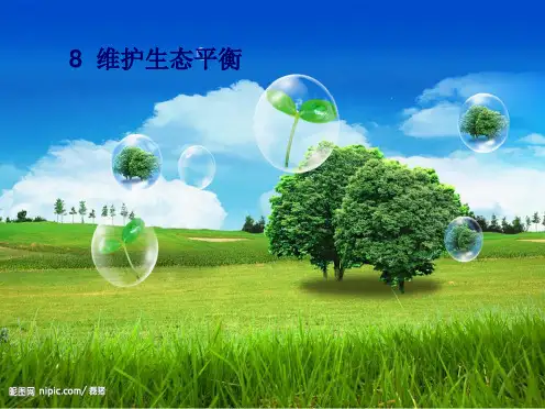 教科小学科学五上《1.8、维护生态平衡》PPT课件(13)[精选](共9张PPT)