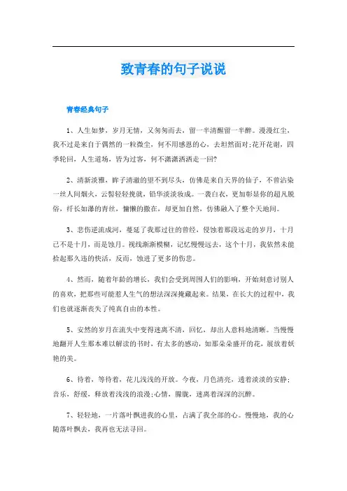 致青春的句子说说