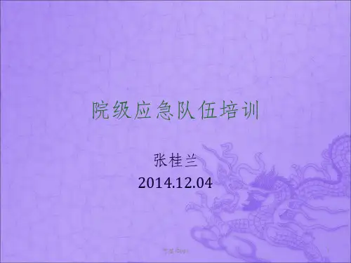 《应急队员培训》PPT课件