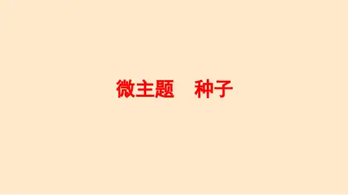2024届高三生物总复习微主题 种子