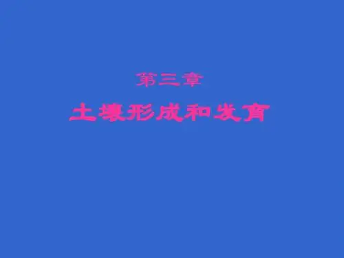 第二章 岩石风化和土壤形成2