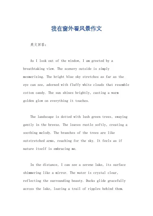 我在窗外看风景作文