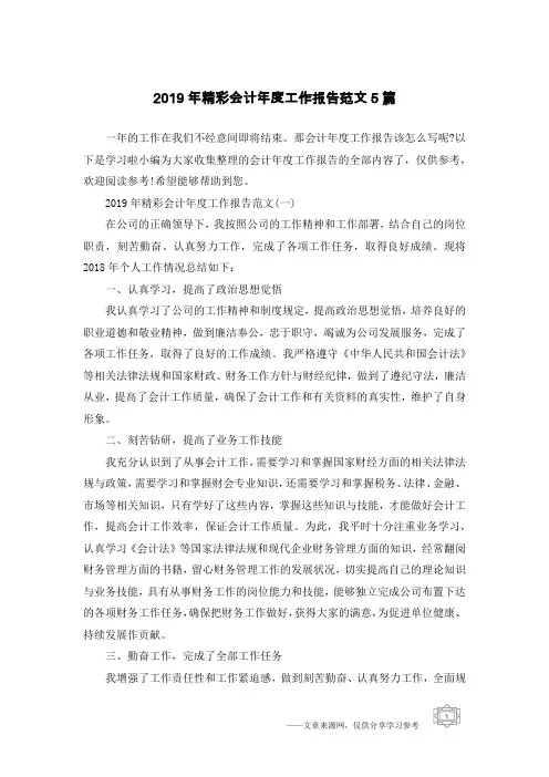 2019年精彩会计年度工作报告范文5篇