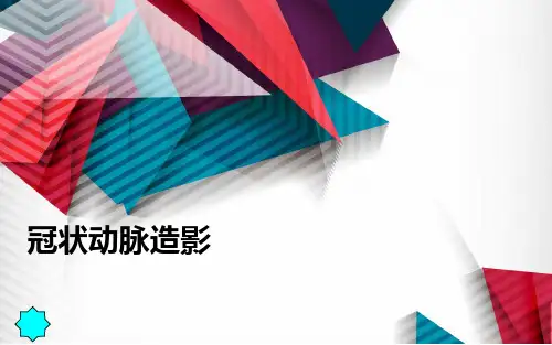 《冠脉造影术》PPT课件
