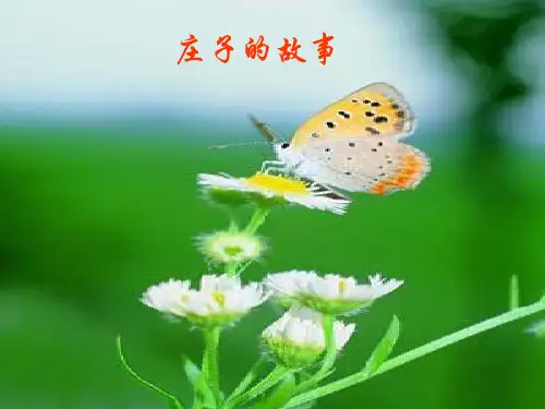 庄子的故事    作文素材