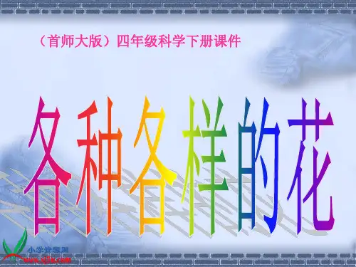 教科版科学四年级下册《2.2.各种各样的花》PPT课件(1)