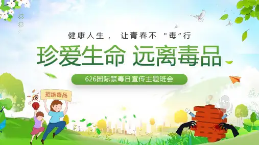国际禁毒日宣传主题班会PPT课件