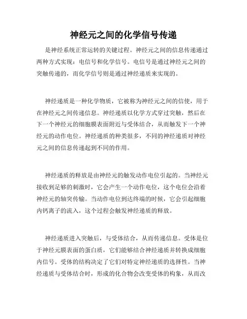 神经元之间的化学信号传递