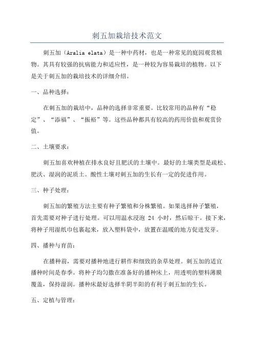 刺五加栽培技术范文