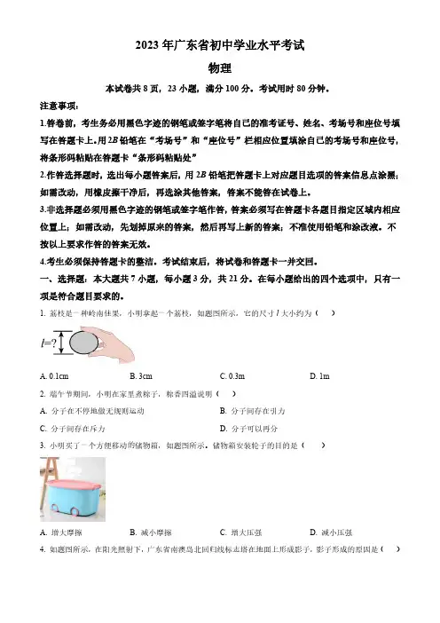 2023年广东省中考物理试题(原卷与解析)