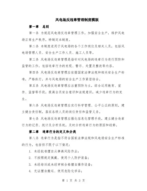 风电场反违章管理制度模版