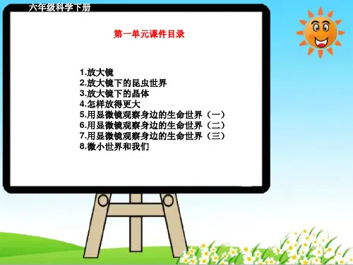 教科版六年级科学下册第一单元《微小世界》课件