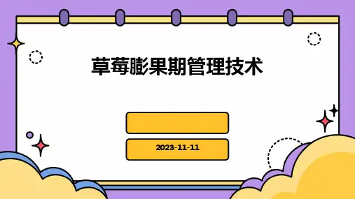 草莓膨果期管理技术