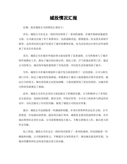 城投情况汇报