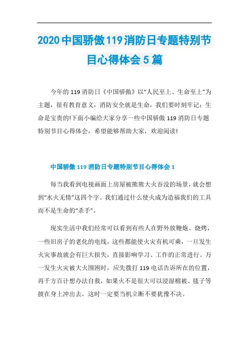 2020中国骄傲119消防日专题特别节目心得体会5篇