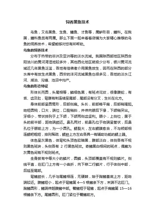 饲养黑鱼技术