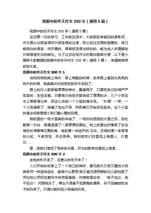 我眼中的冬天作文300字（通用5篇）