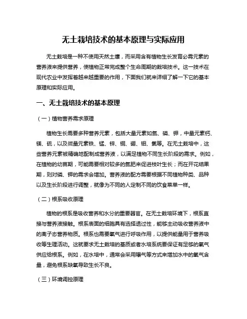 无土栽培技术的基本原理与实际应用
