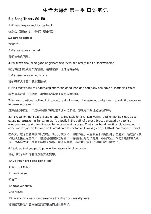 生活大爆炸第一季