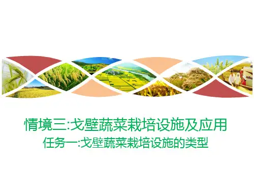 塑料大棚的设计与建造课件(共20张PPT)《蔬菜生产技术》同步教学(中国农业出版社)