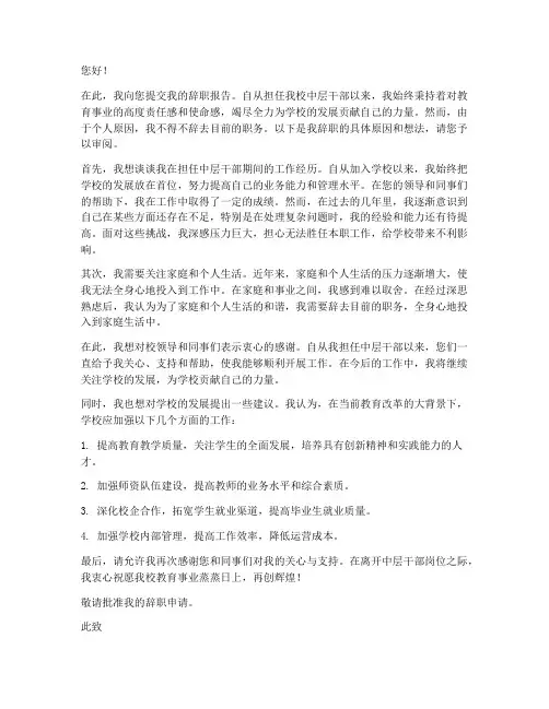 高校中层干部辞职报告