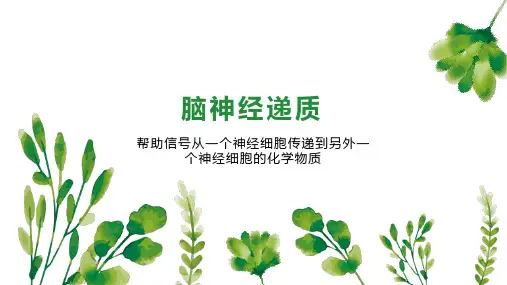 脑神经递质 