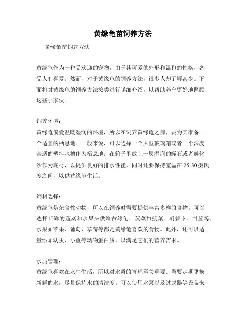 黄缘龟苗饲养方法