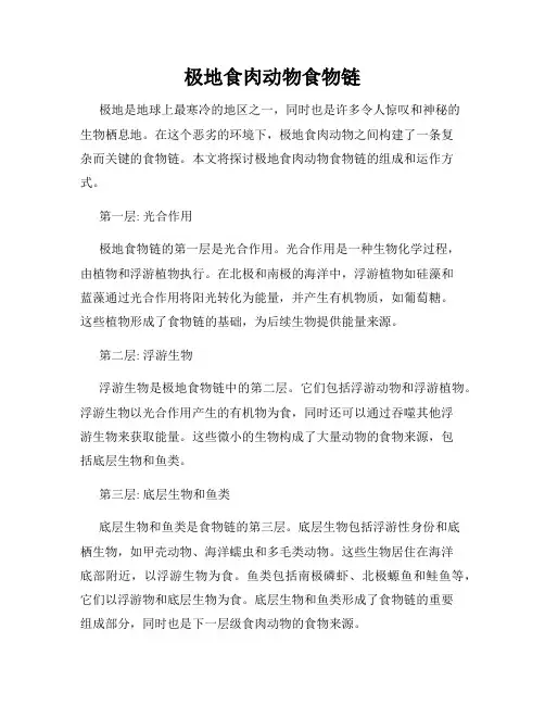 极地食肉动物食物链