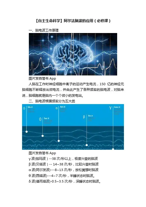 【自主生命科学】阿尔法脑波的应用（必修课）