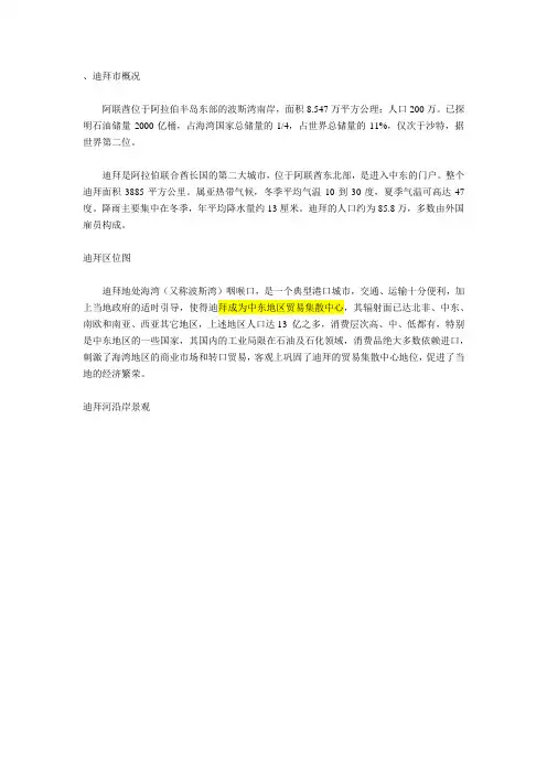 迪拜港规划
