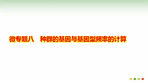 微专题8 种群的基因与基因型频率的计算