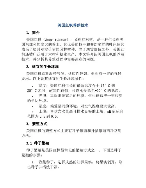 美国红枫养殖技术