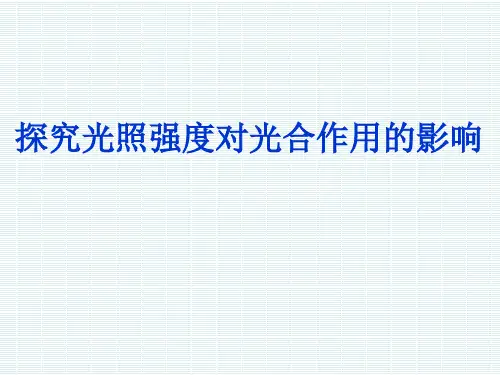 初中生物_光照强度对光合作用的影响教学课件设计