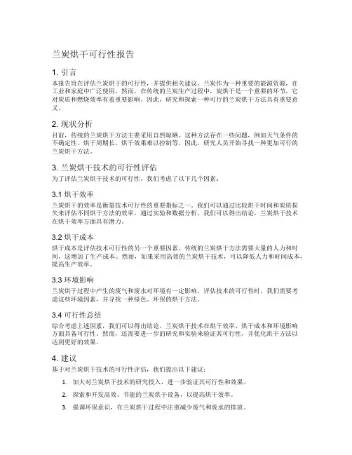 兰炭烘干可行形报告