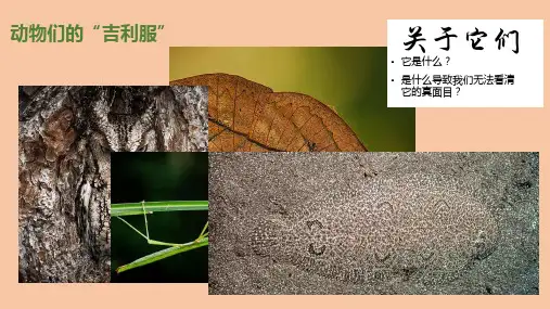 《同类色与邻近色》