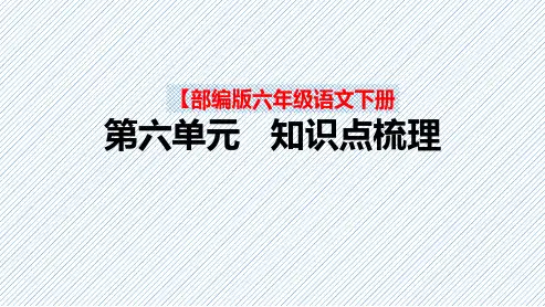 【复习总课件】部编版六年级语文下册第六单元+期末总复习知识点梳理
