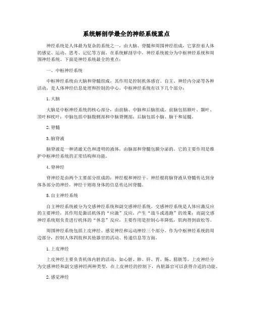 系统解剖学最全的神经系统重点