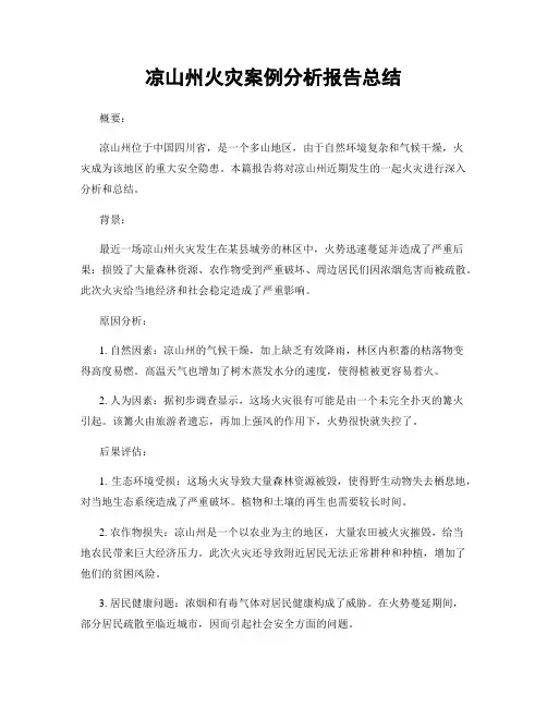凉山州火灾案例分析报告总结