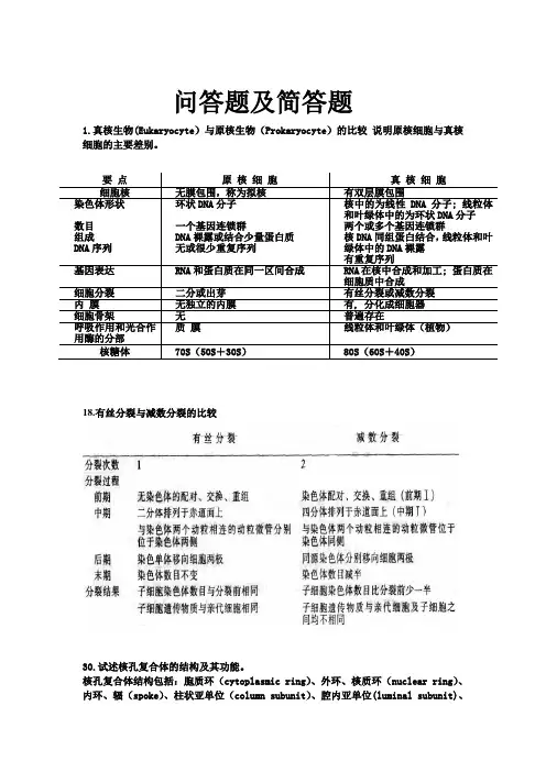 问答题及简答题