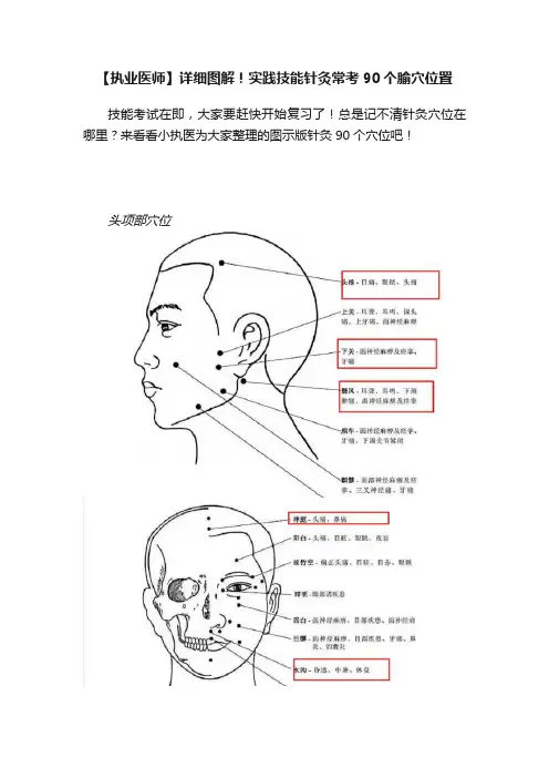 【执业医师】详细图解！实践技能针灸常考90个腧穴位置