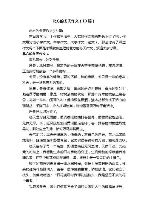 北方的冬天作文（13篇）