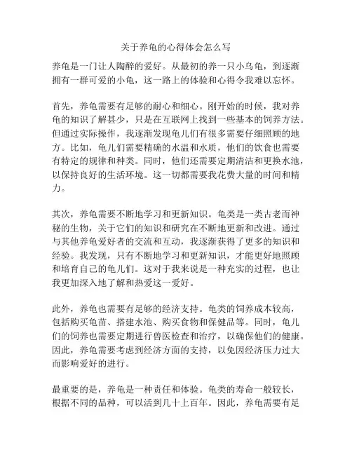 关于养龟的心得体会怎么写