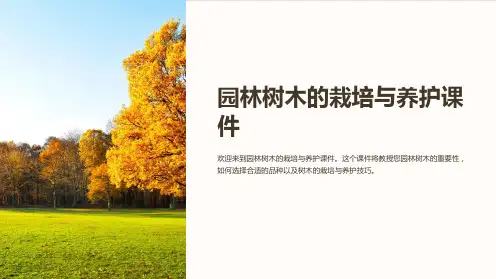 园林树木的栽培与养护课件