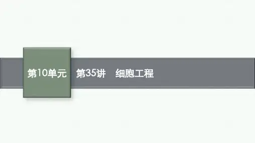 高三生物一轮复习课件：第35讲 细胞工程