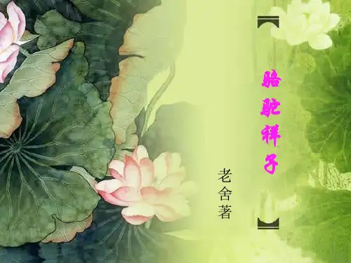 《骆驼祥子》语体及言语风格分析