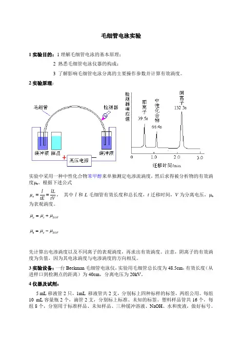 毛细管电泳实验