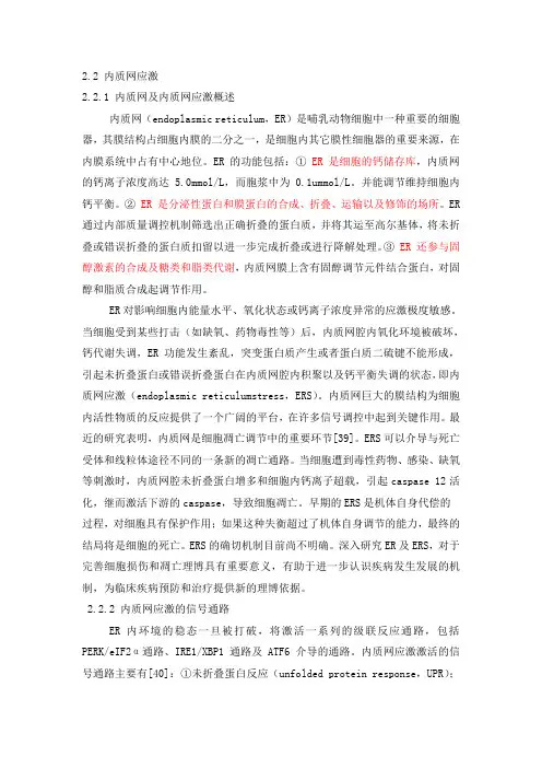 内质网应激