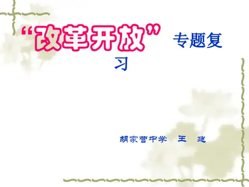 改革开放专题复习