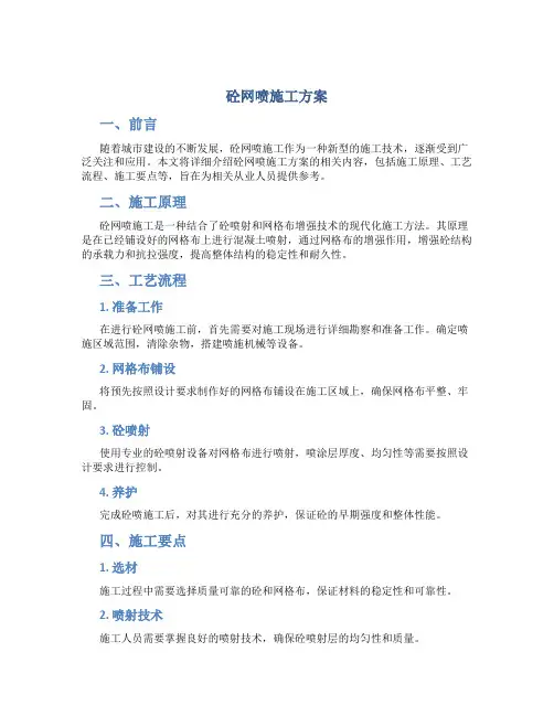 砼网喷施工方案